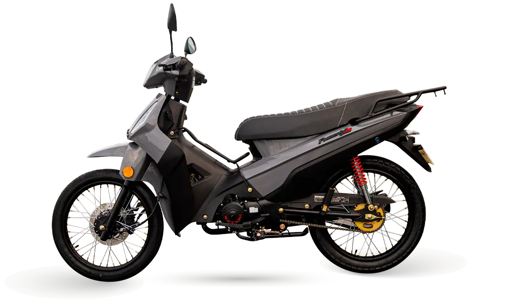 Phoenix 50 EFI | 2025 0Km